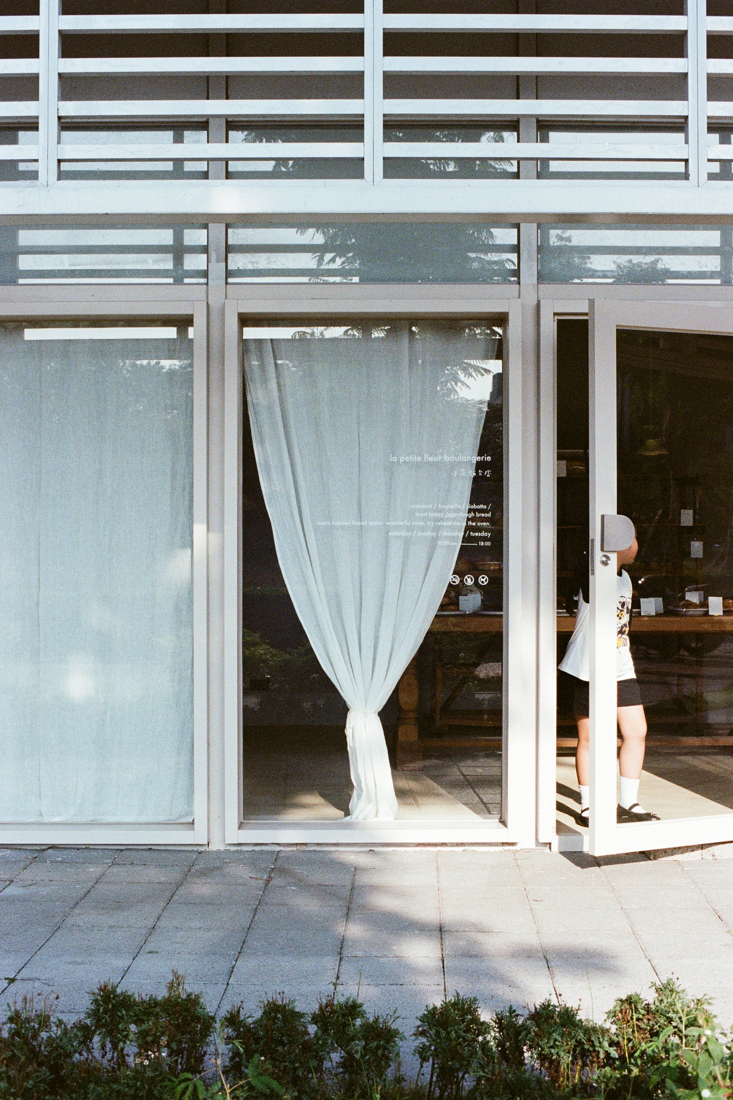 LIV CURTAIN