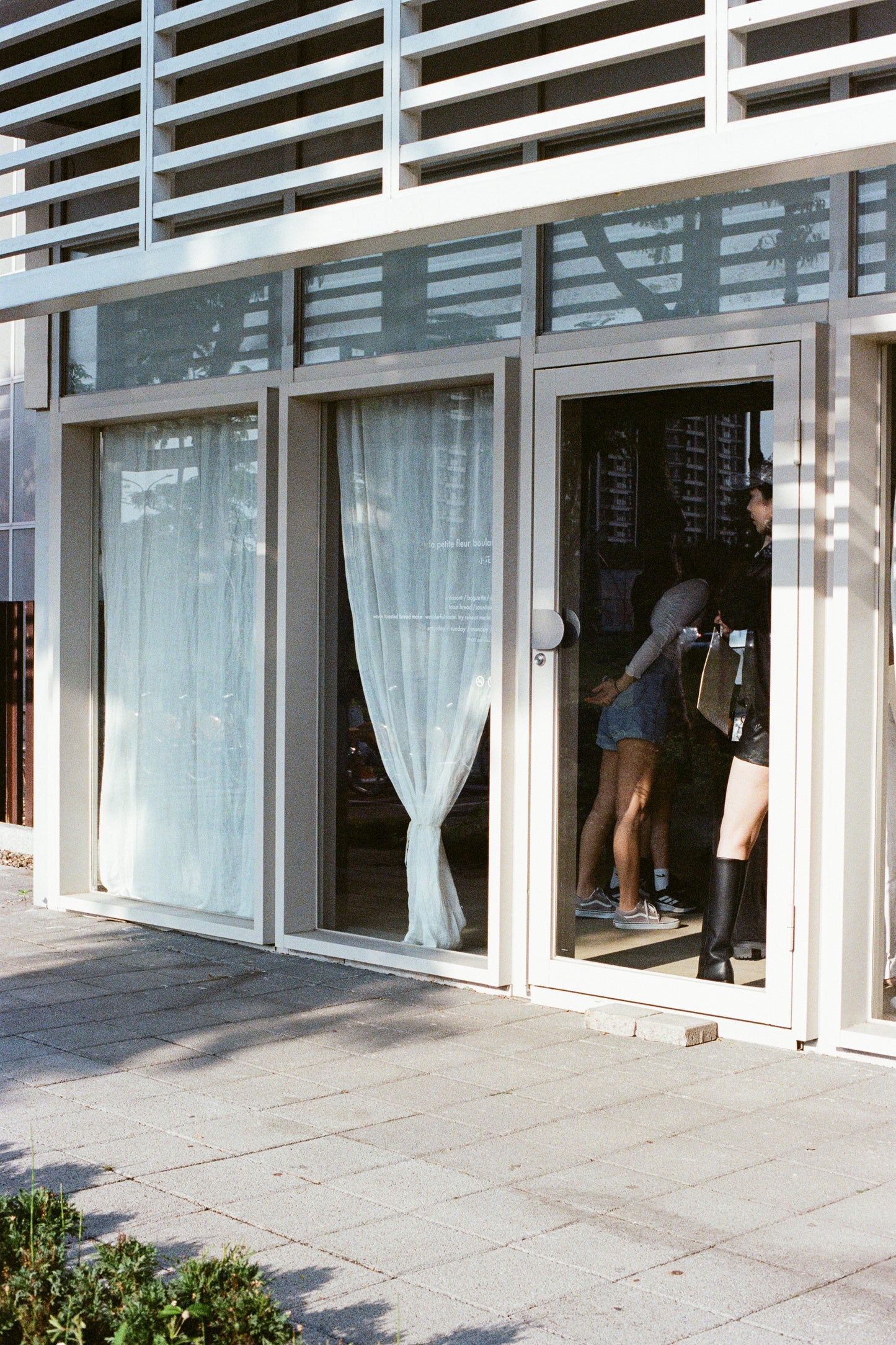 LIV CURTAIN