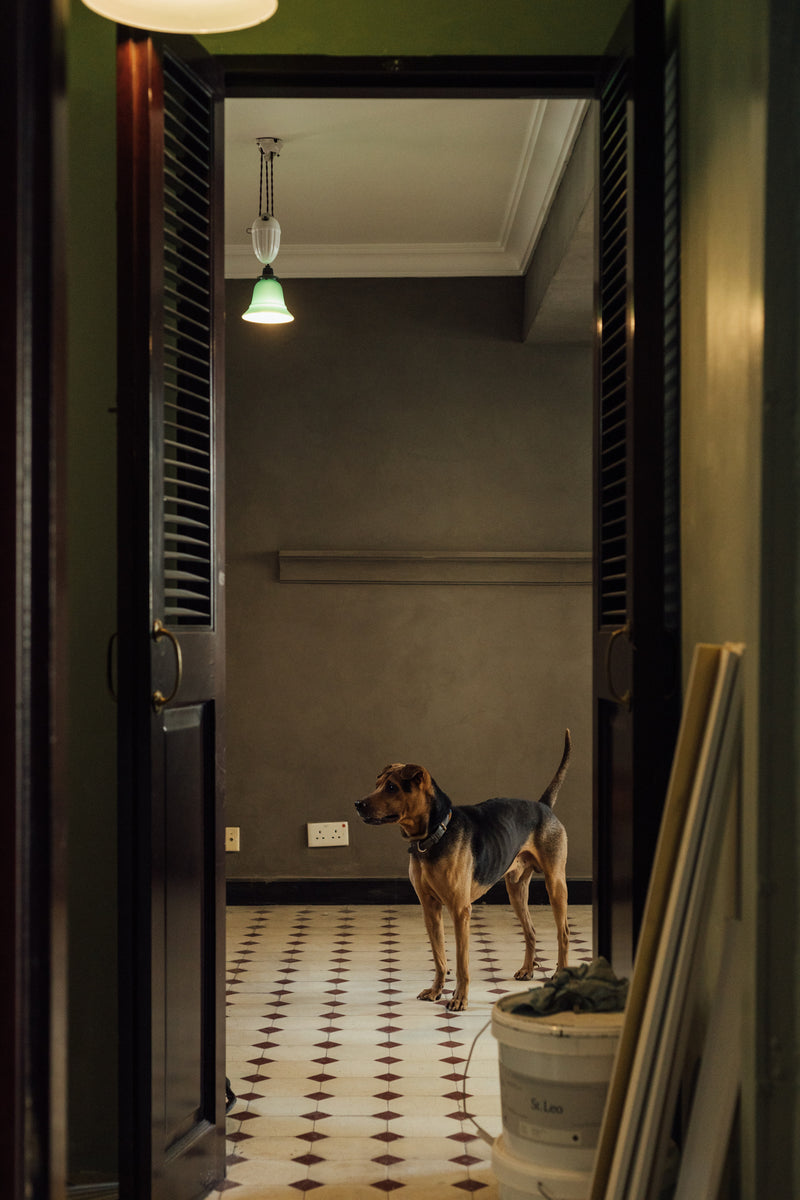 MAISON MING, Hong Kong