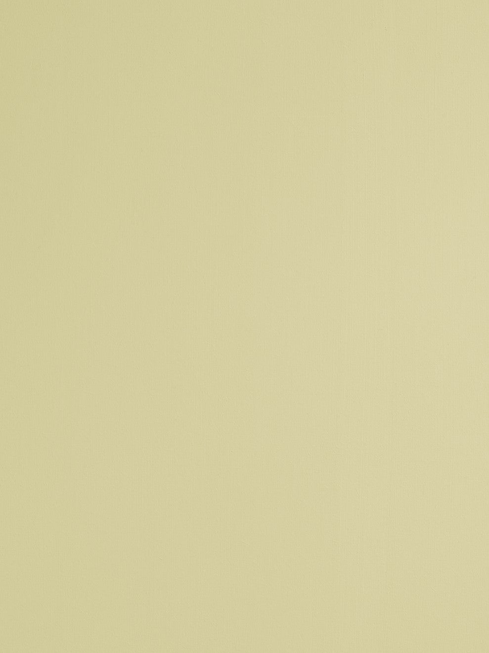 St. Leo Bio Paint