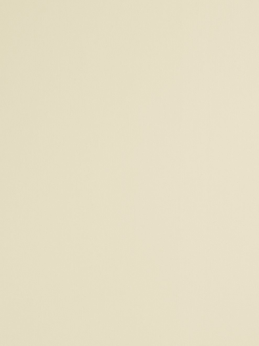 St. Leo Bio Paint