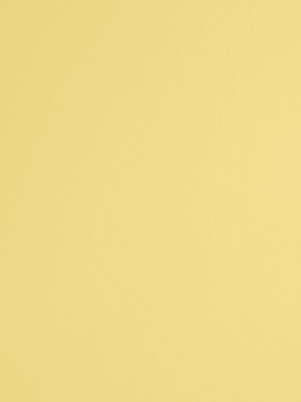 Canary