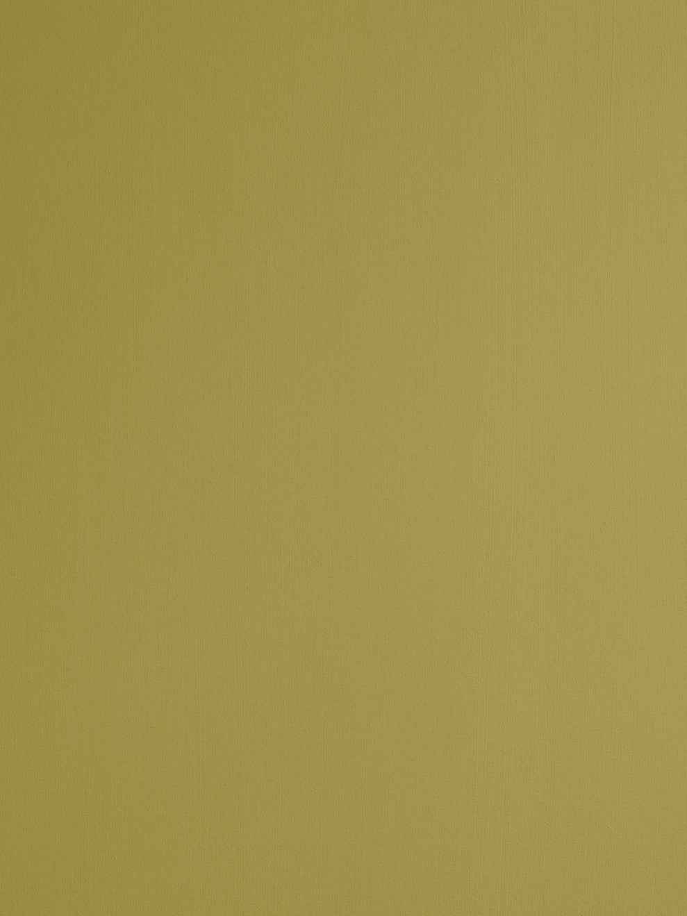 St. Leo Bio Paint