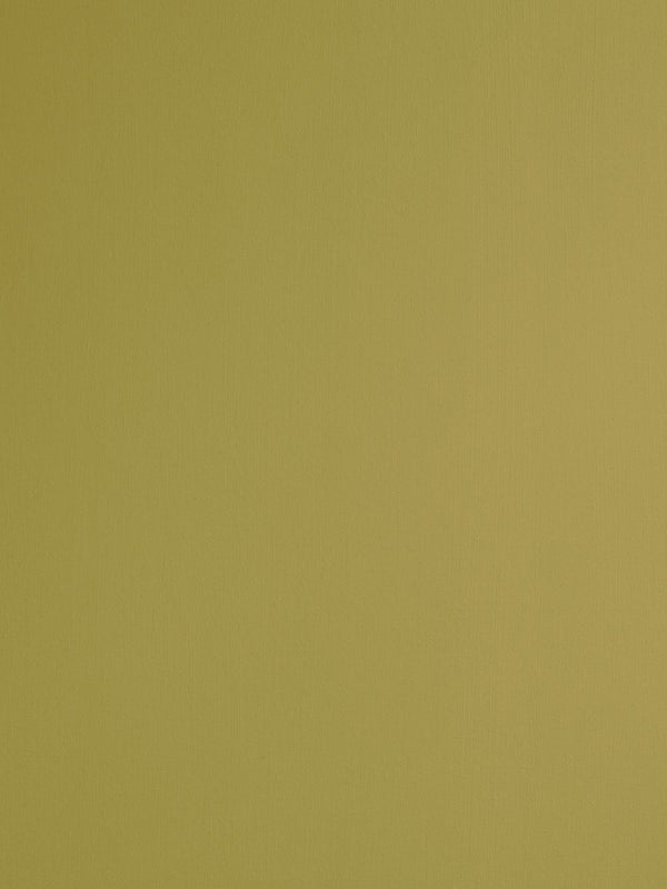 Charleston Green