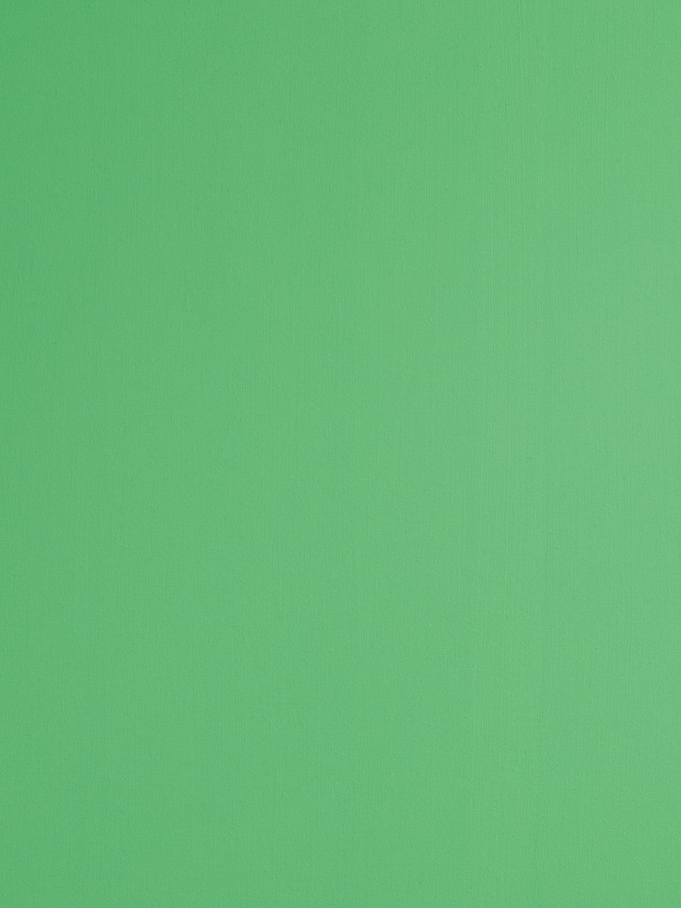 St. Leo Bio Paint