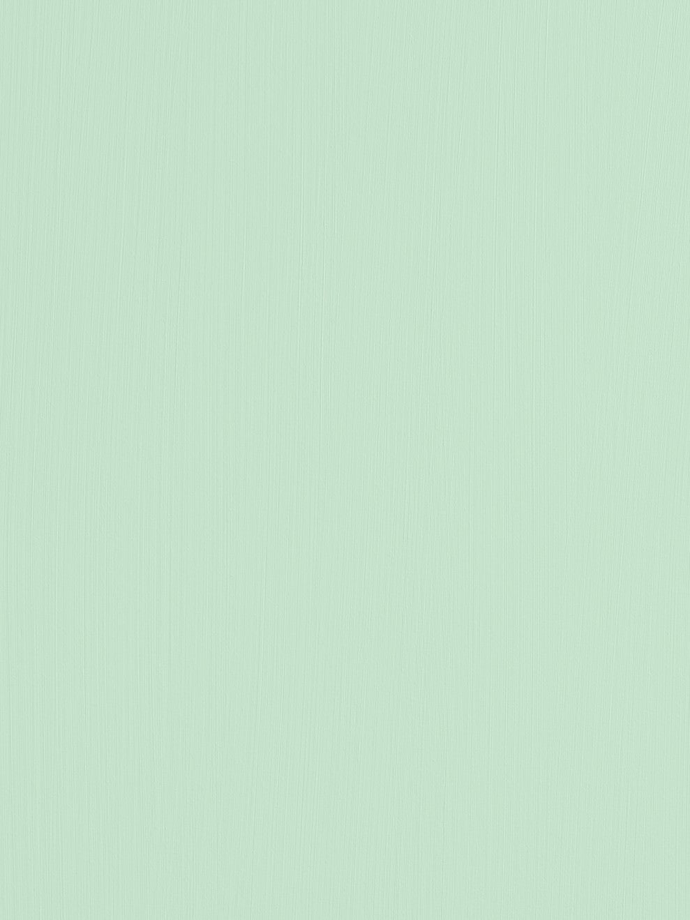 St. Leo Bio Paint