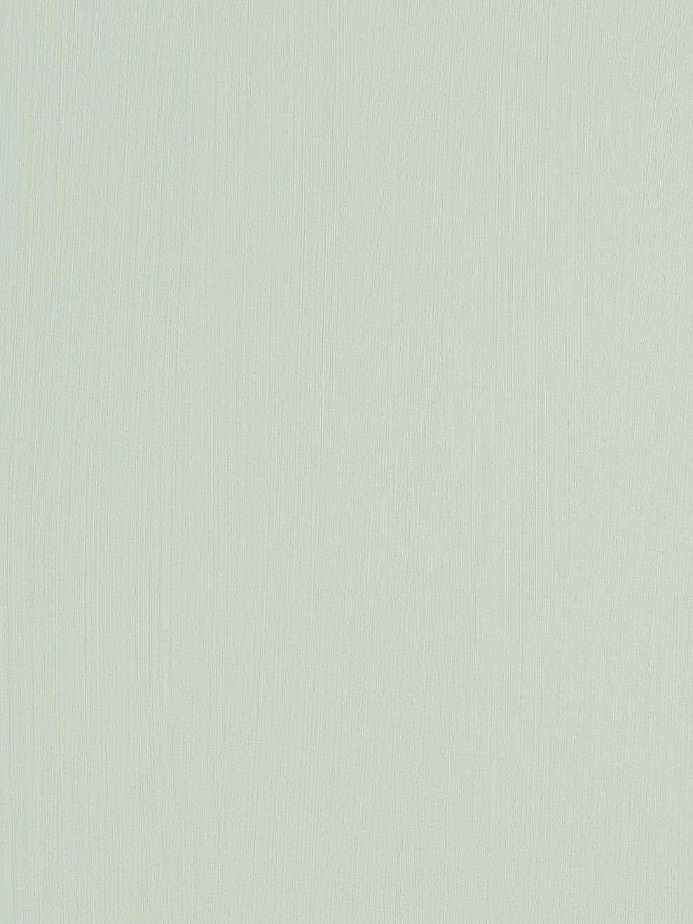 St. Leo Bio Paint