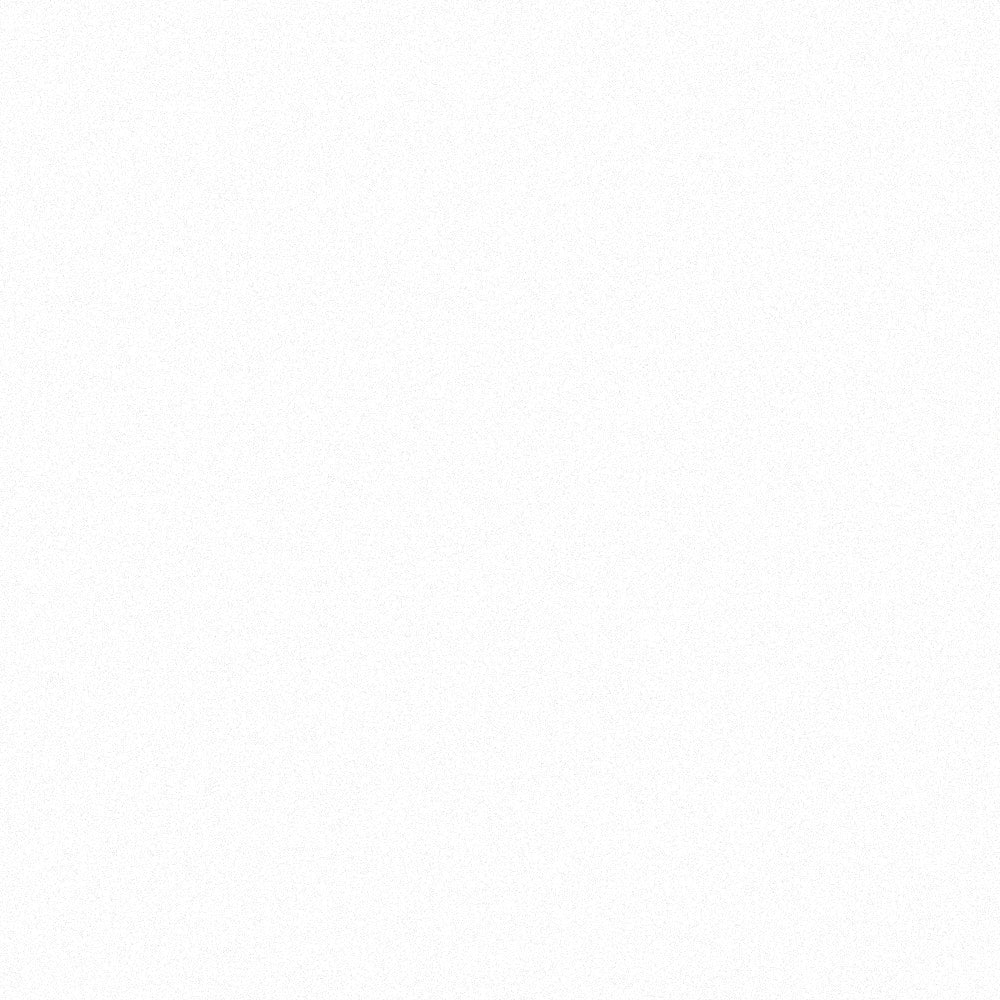 St.Leo 無毒生物分子底漆 (Bio Micro Primer)