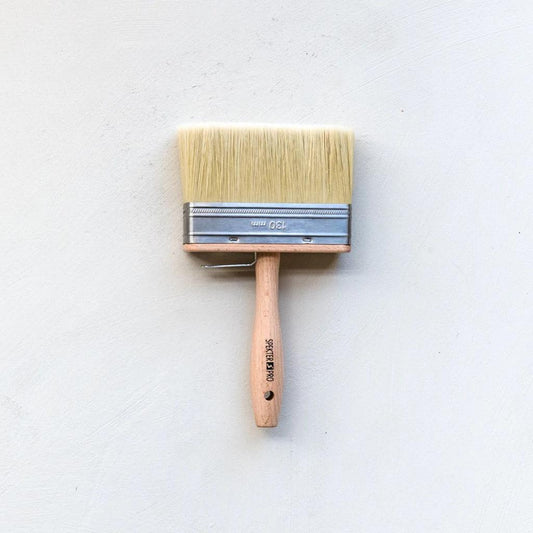 St. Leo Brush